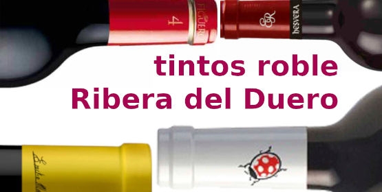 Vino tinto roble Ribera del Duero: propuestas…