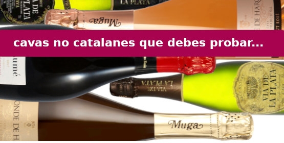 5 cavas no catalanes que puedes comprar y debes probar